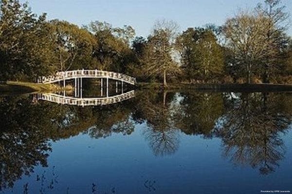 Hotel BLISSWOOD BED AND BREAKFAST (Cat Spring)